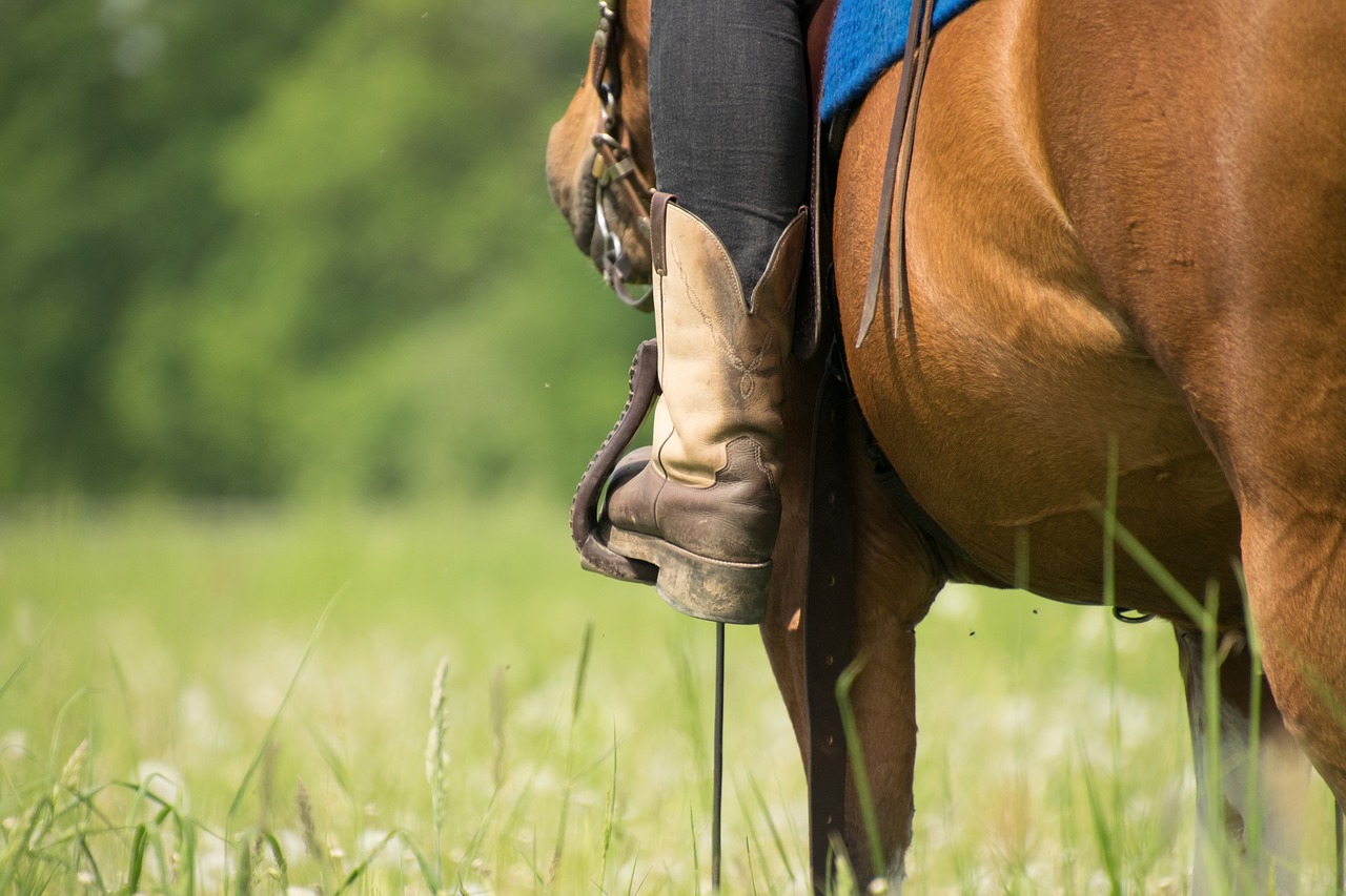 cowgirl-boots1